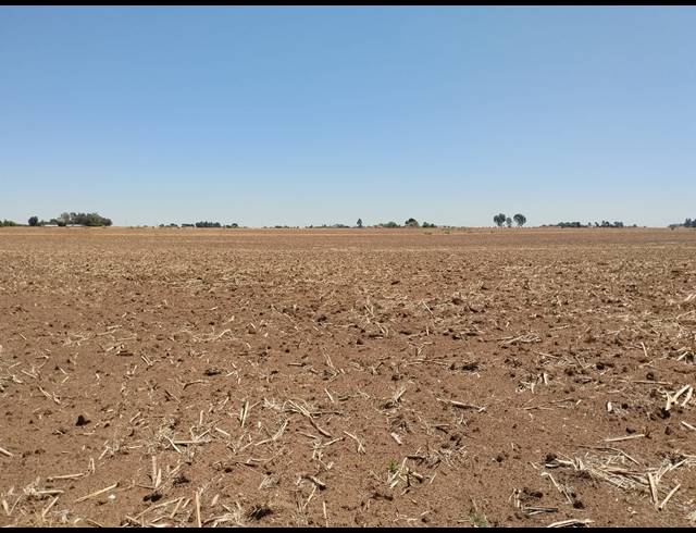 20.20HA VACANT LAND FOR SALE IN CHRISSIEFONTEIN